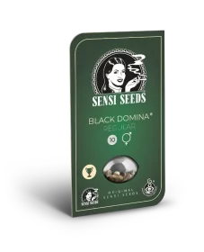 Sensi Seeds Black Domina REGULAR - 10 regular seeds