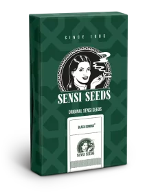 Sensi Seeds Black Domina REGULAR - 10 reguläre Samen