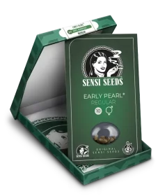 Sensi Seeds Early Pearl REGULAR - 10 reguläre Samen