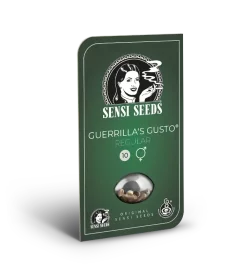 Sensi Seeds Guerrillas Gusto® REGULAR - 10 reguläre Samen