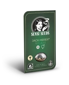 Sensi Seeds Jack Herer REGULAR - 10 reguläre Samen