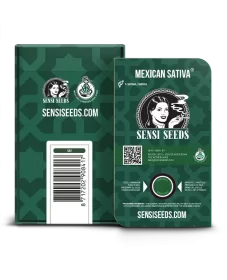 Sensi Seeds Mexican Sativa REGULA - 10 reguläre Samen