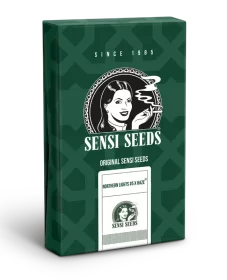 Sensi Seeds Northern Lights #5 x Haze REGULAR - 10 reguläre Samen