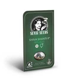 Sensi Seeds Shiva Shanti II® REGULAR - 10 regular seeds