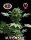 Big Buddha Seeds Big Buddha´s AUTOMATIC - 5 autoflowering Samen