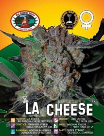 Big Buddha Seeds LA Cheese - 5 feminized seeds