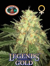 Big Buddha Seeds Legends Gold - 5 feminized seeds