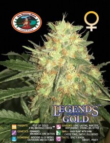 Big Buddha Seeds Legends Gold - 5 feminisierte Samen