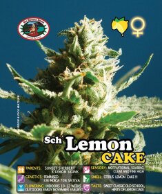 Big Buddha Seeds Sch Lemon Cake - 5 feminized seeds