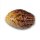 Delicious Seeds Caramelo ® REGULAR - 7 reguläre Samen