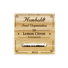 Humboldt Seed Organization Lemon Citron- 3 feminized seeds