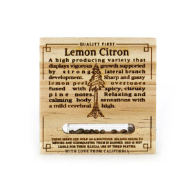 Humboldt Seed Organization Lemon Citron- 3 feminisierte Samen