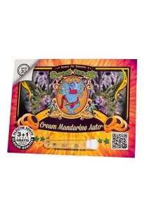 Sweet Seeds Cream Mandarine ® AUTO - 3 automated seeds