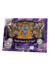 Sweet Seeds Purple Punch OG XL ® AUTO - 3 autoflowering Samen