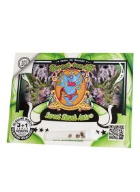 Sweet Seeds Sweet Skunk® AUTO - 3 automated seeds