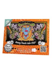 Sweet Seeds Honey Peach AUTO CBD - 3 automated seeds