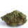 Growers Choice Blue Forest Berry - 3 feminisierte Samen