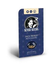 Sensi Seeds Jack Herer AUTO - 5 feminized seeds