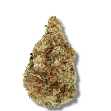 Growers Choice Charlottes Dream CBD - 3 feminisierte Samen