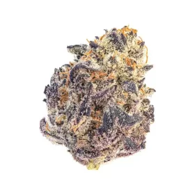 Growers Choice Cherry Mac Muffin 3+1 feminized seeds