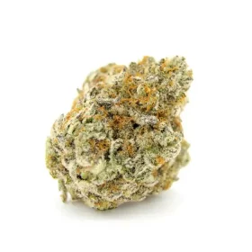 Growers Choice Forbidden Runtz 3+1 feminized seeds