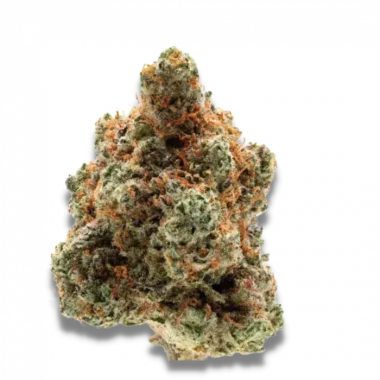 Growers Choice Monkey Glue - 3 feminisierte Samen