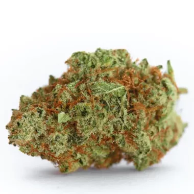 Growers Choice Monsterbud - 3 feminisierte Samen