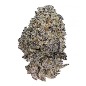 Growers Choice Original Oreoz - 3 feminisierte Samen