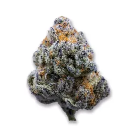 Growers Choice Platinum Mimosa Cookies Fast Version 3+1 feminized seeds