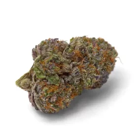 Growers Choice Purple Dosi Punch 3+1 feminized seeds