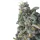 Growers Choice Rainbow Candy 3+1 feminisierte Samen