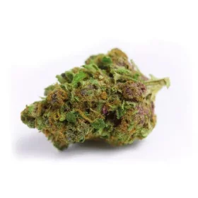 Growers Choice Red Banana Berry 3+1 feminisierte Samen