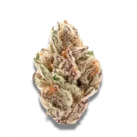 Growers Choice Sour Zkittlez - 3 feminized seeds