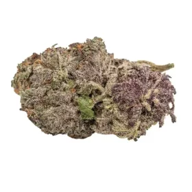 Growers Choice Ultra Violet GMO 3+1 feminized seeds