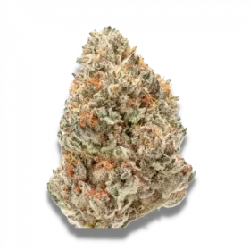 Growers Choice Watermelon Weddingcake 3+1 feminized seeds