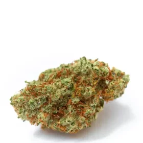 Growers Choice White Fire OG 3+1 feminisierte Samen