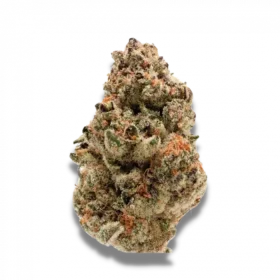 Growers Choice Zkittlez 3+1 feminisierte Samen