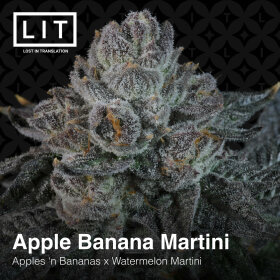 LIT Farms Apple Banana Martini - 6 feminized seeds