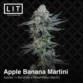 LIT Farms Apple Banana Martini - 6 feminized seeds