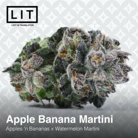 LIT Farms Apple Banana Martini - 6 feminisierte Samen