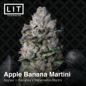 LIT Farms Apple Banana Martini - 6 feminisierte Samen