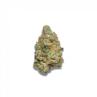 Growers Choice Apple Fritter AUTOFLOWER 3+1 autoflowering Samen