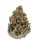 Growers Choice Bruce Banner III AUTOFLOWER 3+1 automatisiert Samen