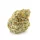 Growers Choice Forbidden Runtz Double XL AUTOFLOWER 3+1 automatisierte Samen