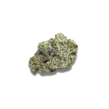 Growers Choice MAC1 AUTOFLOWER 3+1 autoflowering Samen