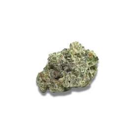 Growers Choice MAC1 AUTOFLOWER 3+1 autoflowering Samen