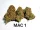 Growers Choice MAC1 AUTOFLOWER 3+1 autoflowering Samen