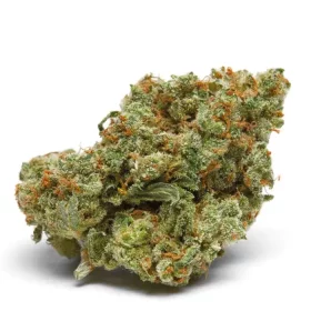 Growers Choice The Real Amnesia AUTOFLOWER 3+1 automatisierte Samen