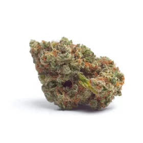 Growers Choice Tropicana Weddingcake AUTOFLOWER 3+1 autoflowering Samen