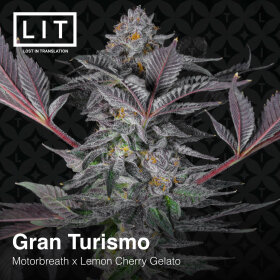 LIT Farms Gran Turismo - 6 feminized seeds